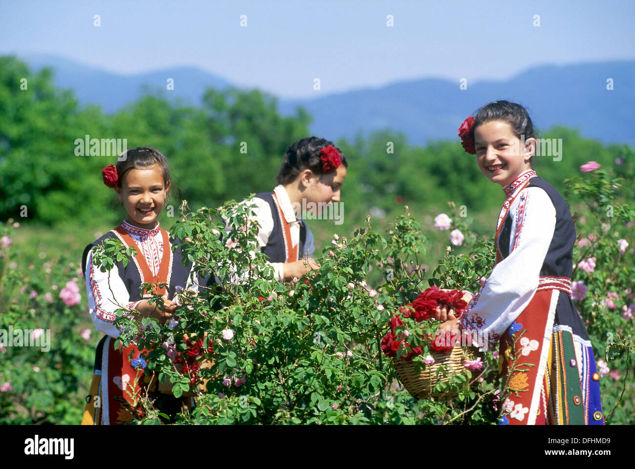 traditional dressed young girls in a rose garden during the Rose