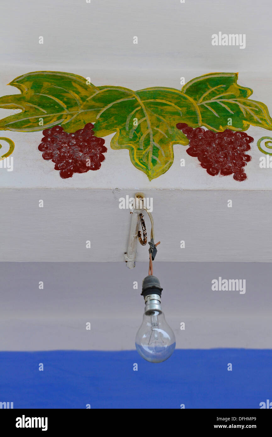 Electric lamp or bulb and lamp-holder  with poor wiring with a painted grape scene. Stock Photo