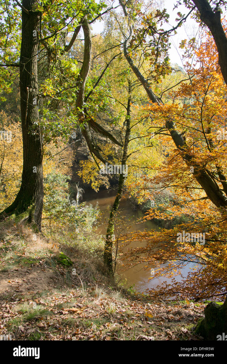 autumn forest in holland with the river dinkel Stock Photo