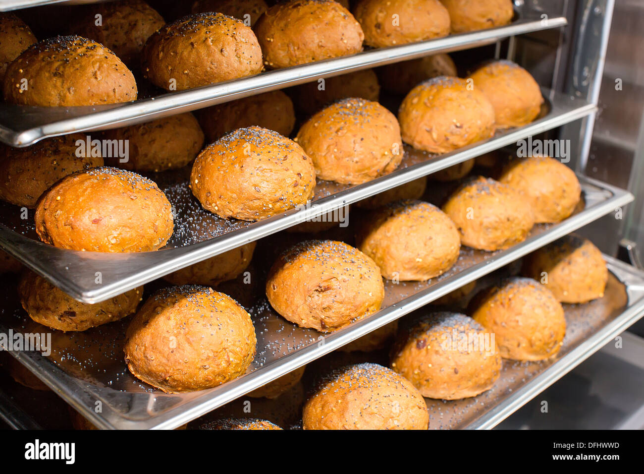 Rye bread rolls baked in the oven Stock Photo Alamy