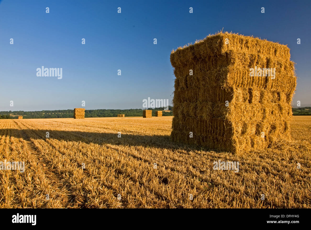 Cotswold landscape scene and a square haystack cast a long shadow across a field of stubble. Stock Photo