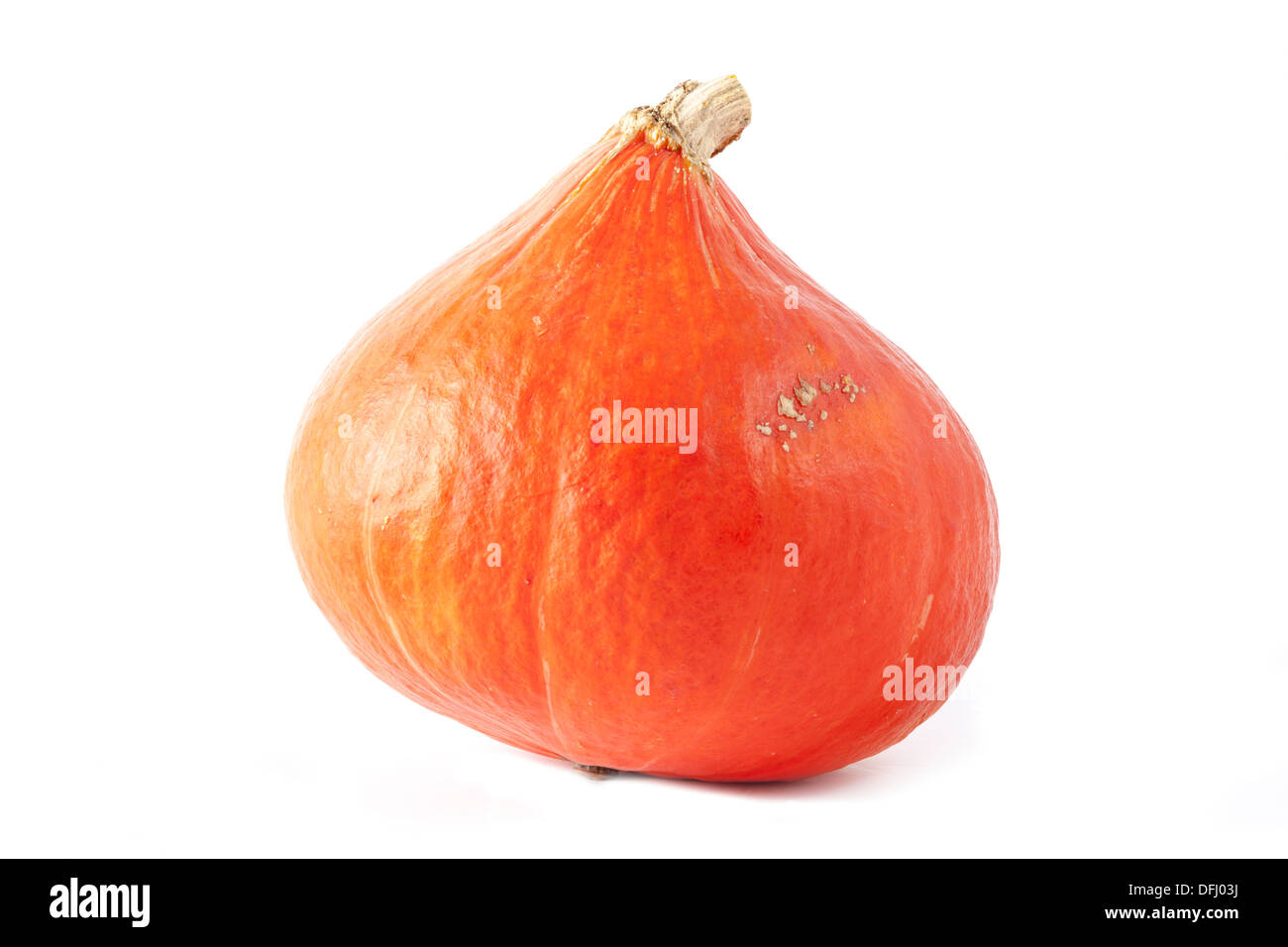 Orange Hokkaido Pumpkin (Red kuri squash) Stock Photo