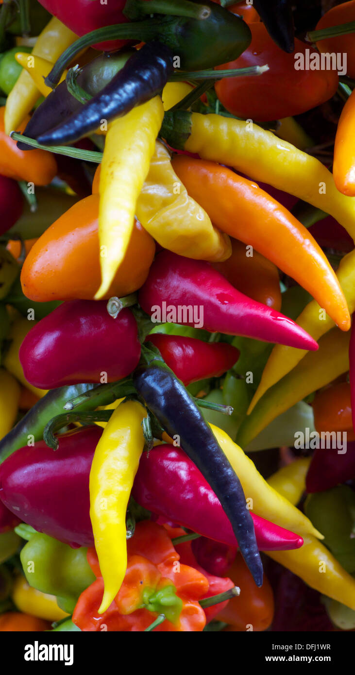 Close up of variety of chillies at outdoor market stall, Palma, Majorca, Spain Stock Photo