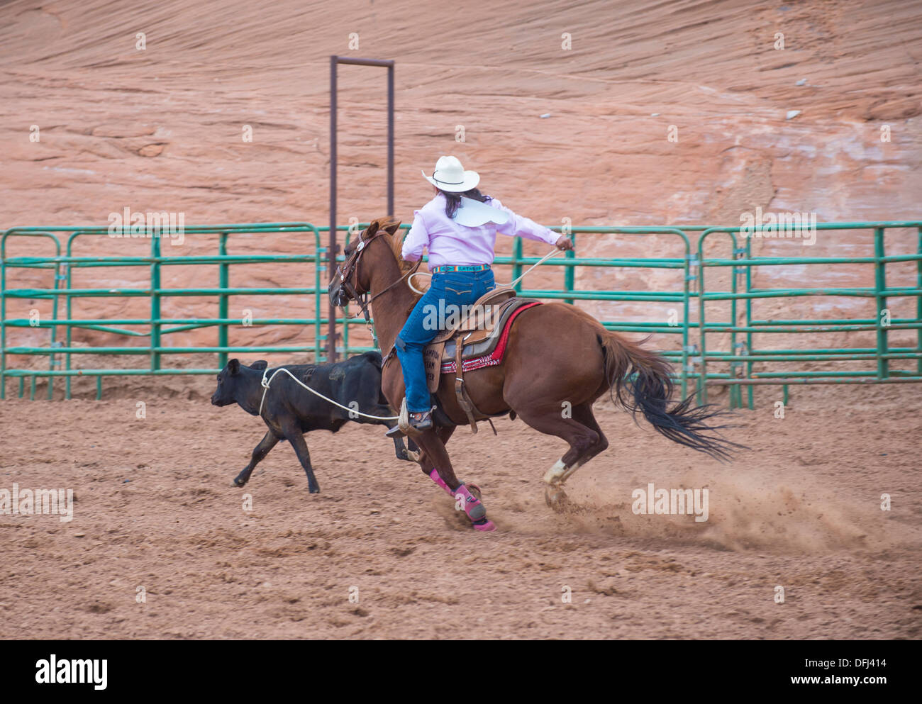 cowgirl Participates in in a Calf roping Competition at the 92nd annual Indian Rodeo in Gallup, NM Stock Photo