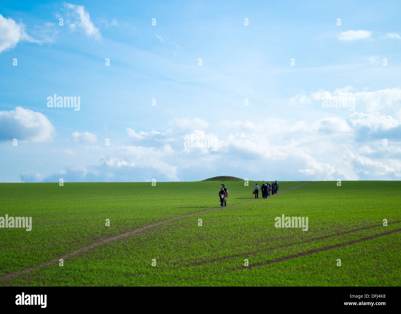 Green field at Badbury Rings, Dorset Stock Photo