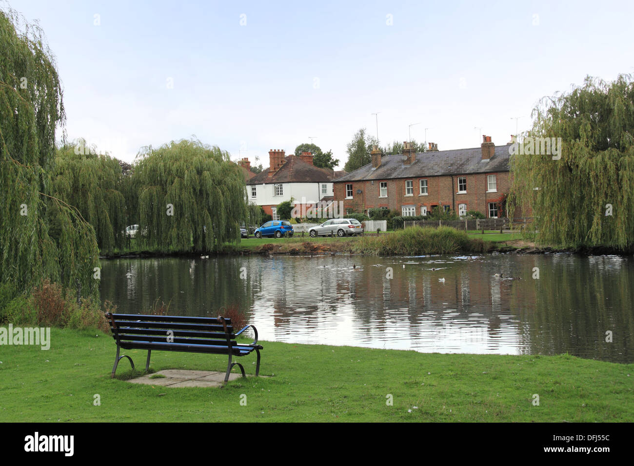 West End Green pond, Esher, Surrey, England, Great Britain, United Kingdom, UK, Europe Stock Photo