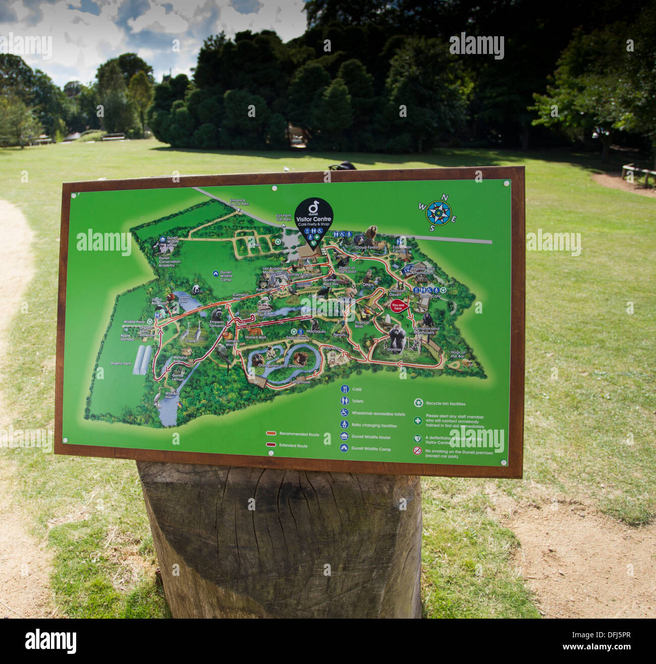 Durrell wildlife conservation park hi-res stock photography and images - Alamy Durrell wildlife conservation park hi-res stock photography and images - Alamy