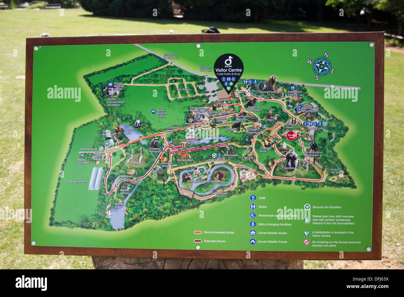 Durrell wildlife conservation park hi-res stock photography and images - Alamy Durrell wildlife conservation park hi-res stock photography and images - Alamy