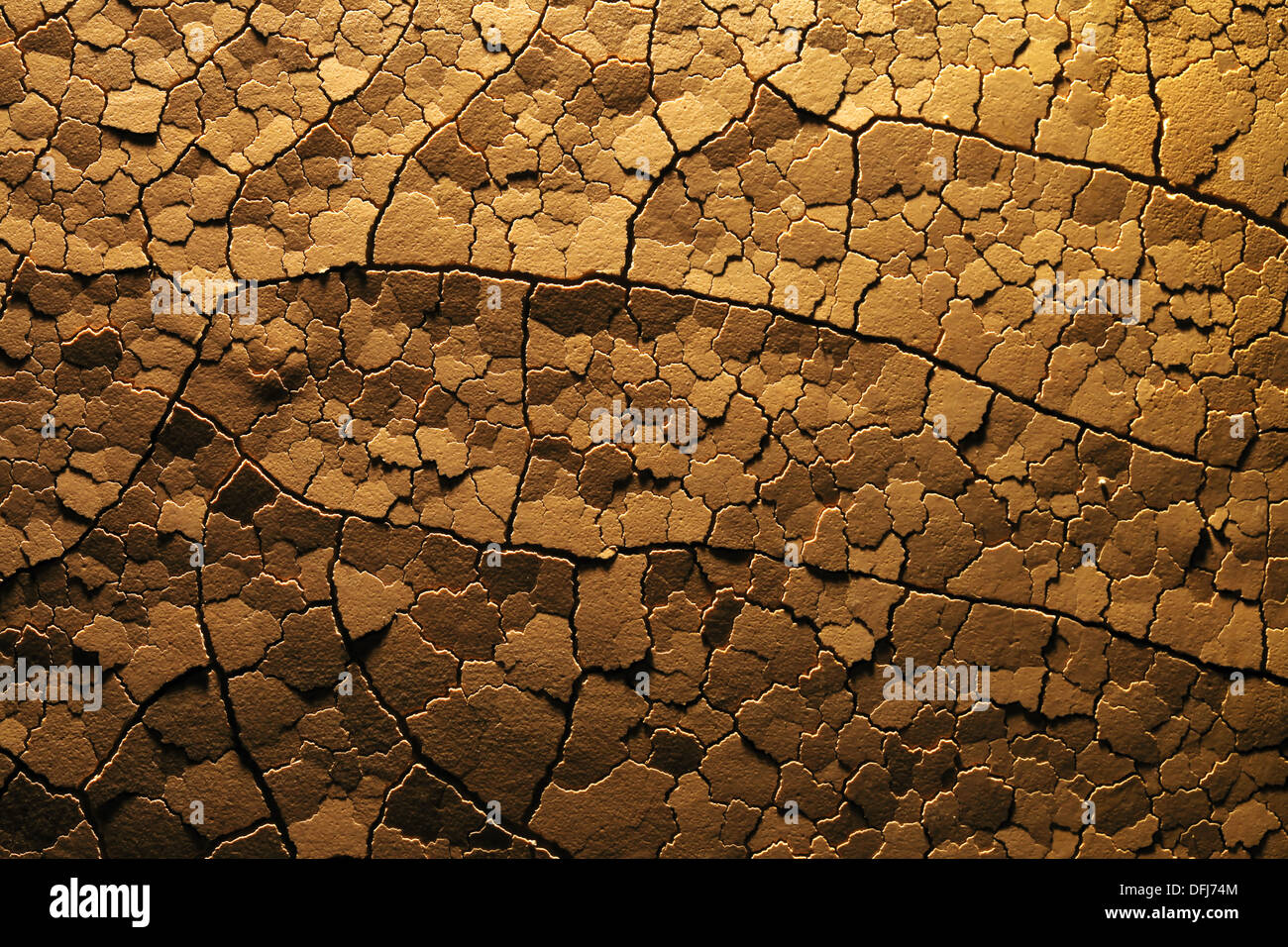 Dry cracked desert Stock Photo - Alamy