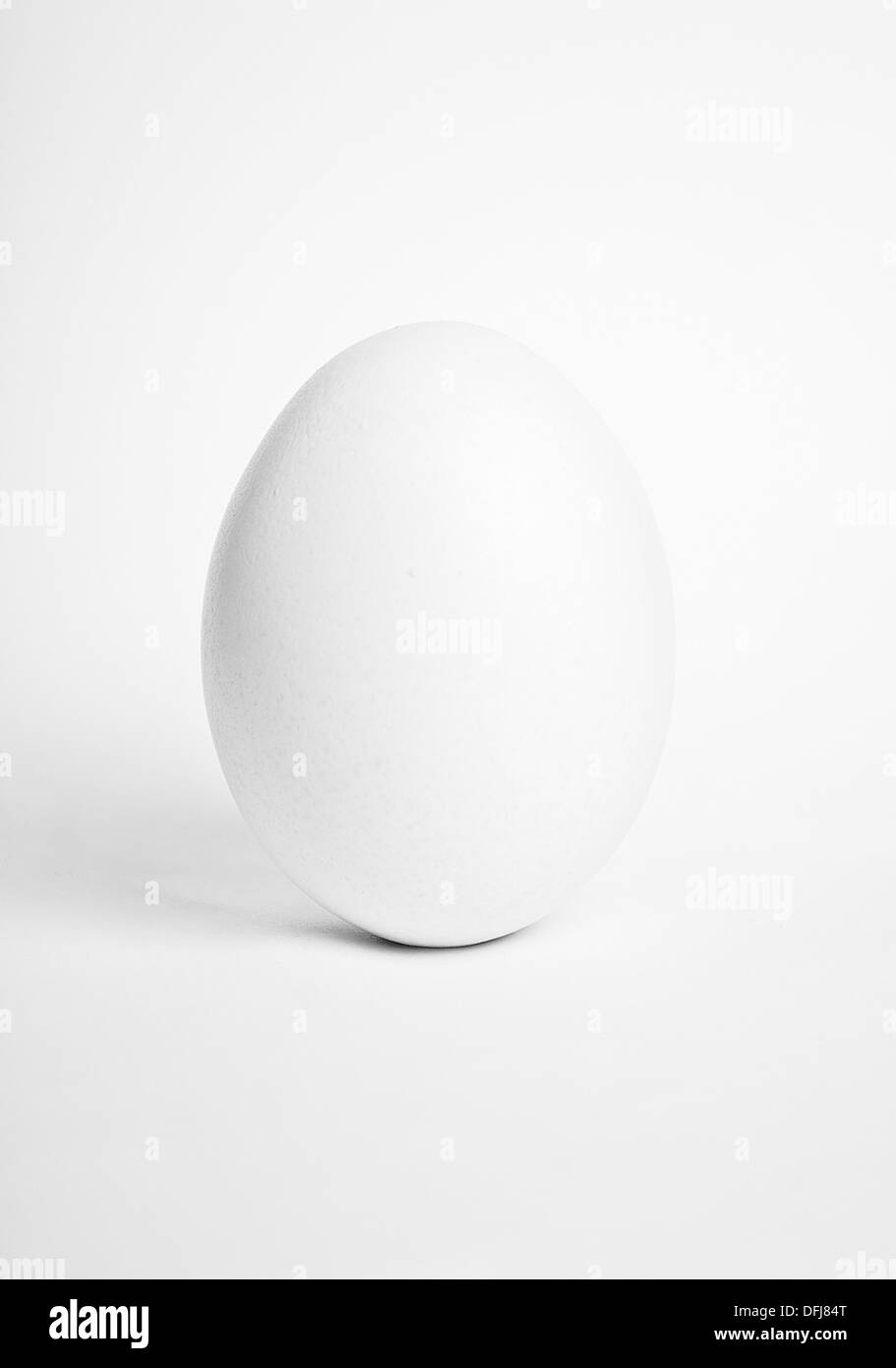 white egg on white background Stock Photo