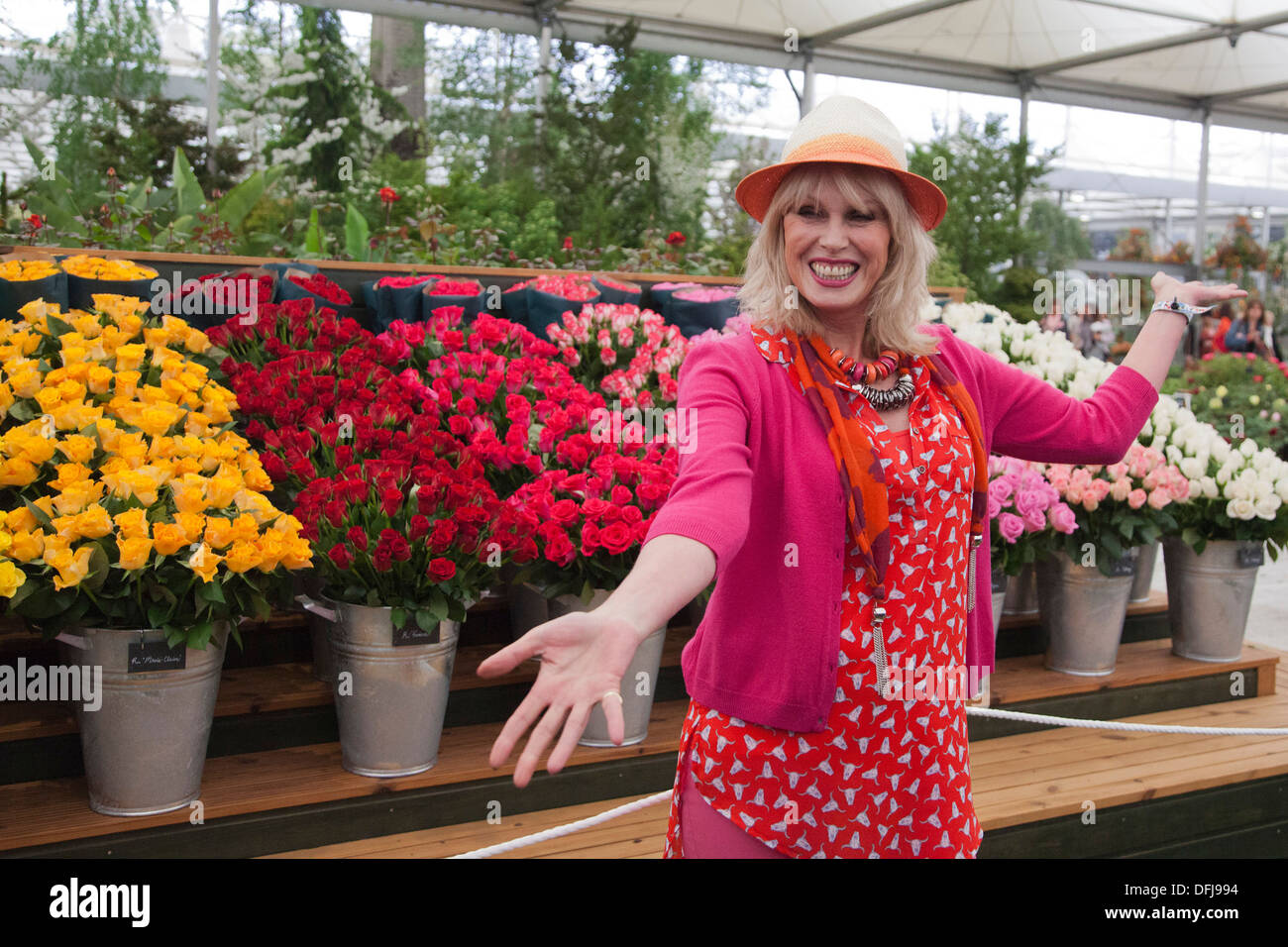 Actress Joanna Lumley at Chelsea Flower Show Stock Photo - Alamy