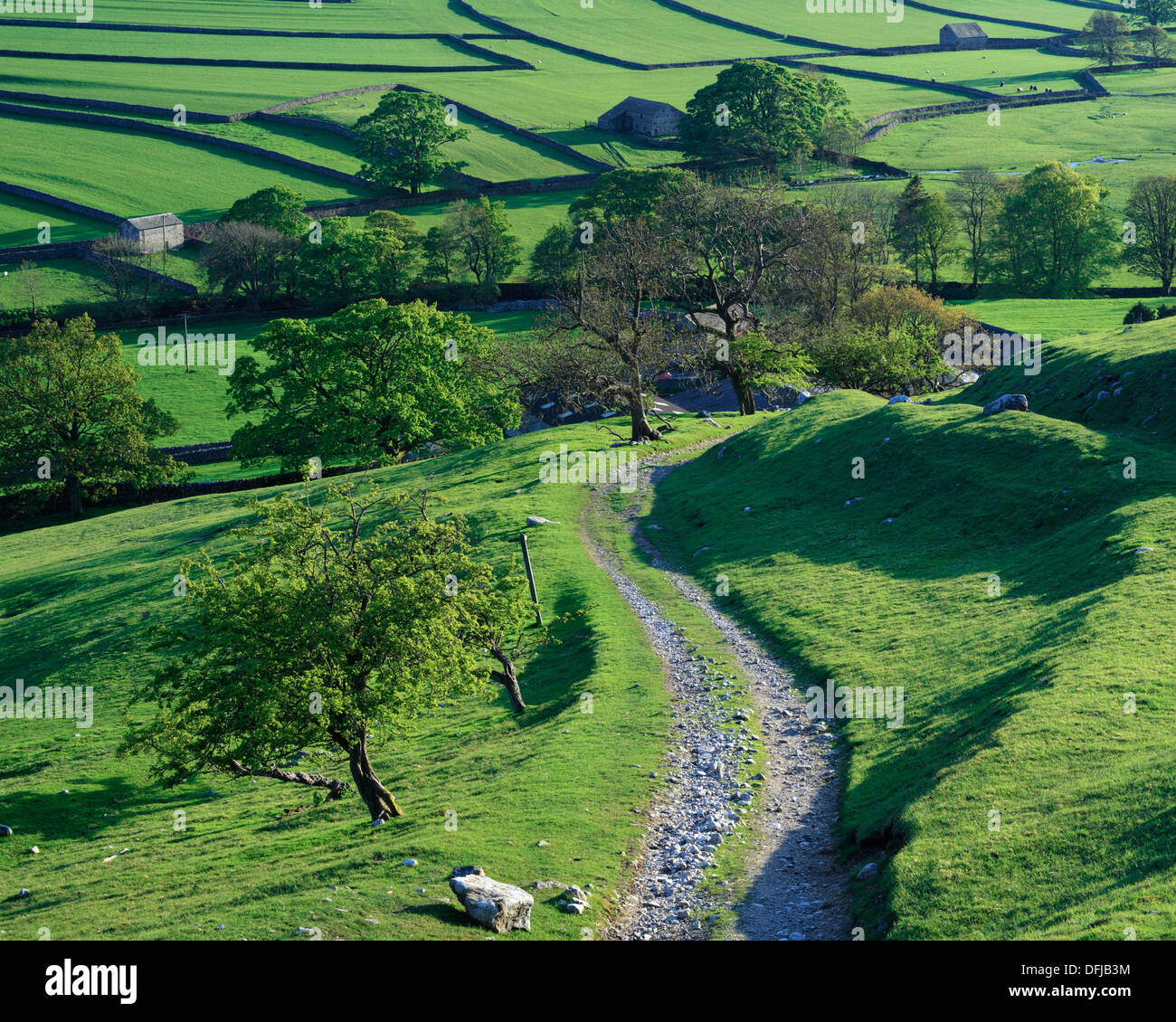 Summer view over Arncliffe in Littondale in the Yorkshire Dales of England Stock Photo