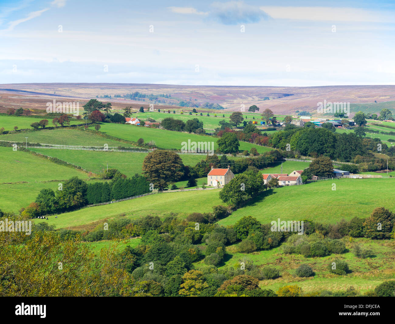 Heather covered moors hi-res stock photography and images - Alamy