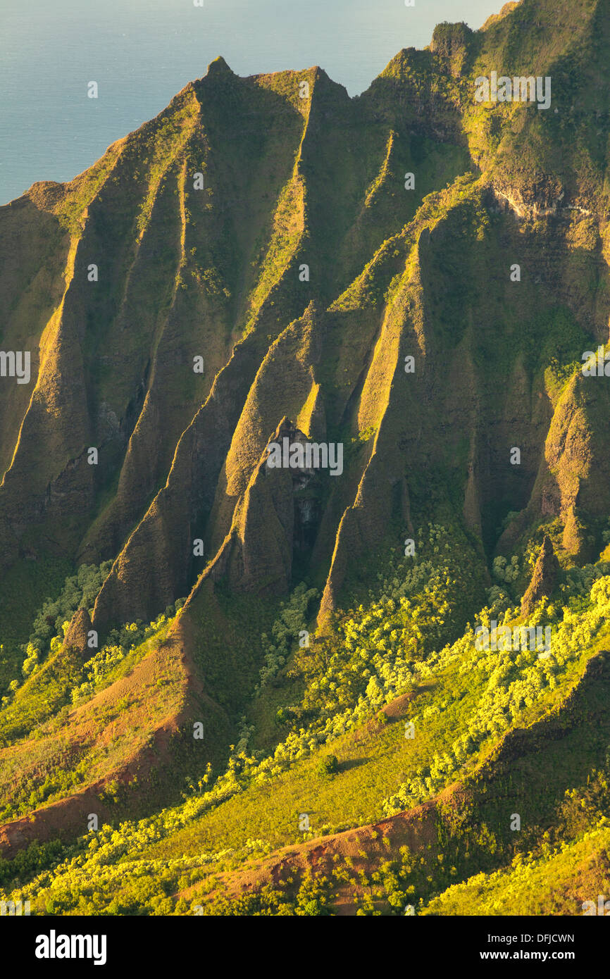 USA, Hawaii, Kauai, Na Pali Coast, Kalalau Valley Stock Photo