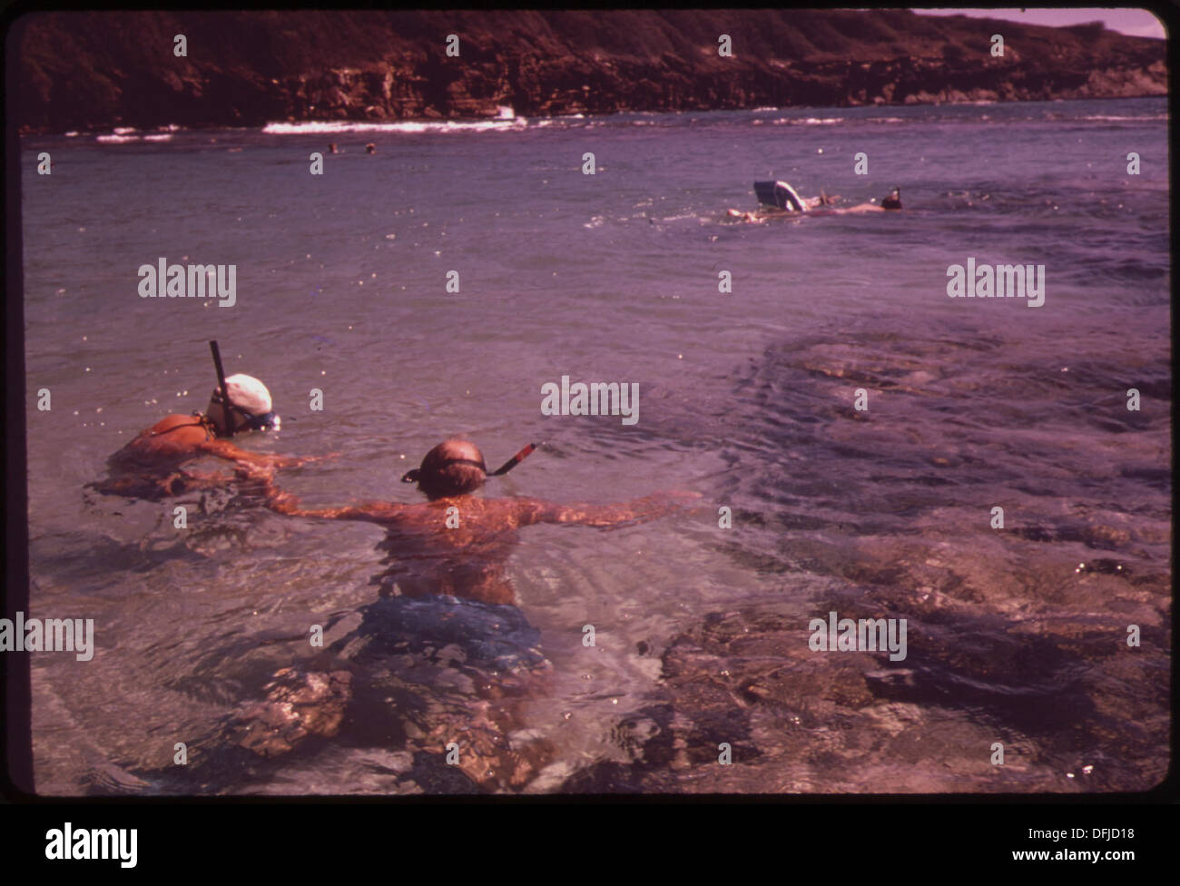 KOKO HEAD PARK IN THE HANAUMA BAY MARINE LIFE CONSERVATION DISTRICT IS