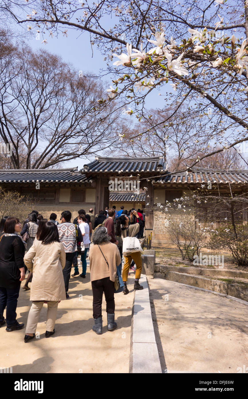 Tourists in Changdeokgung Royal Palace, Seoul, Korea Stock Photo