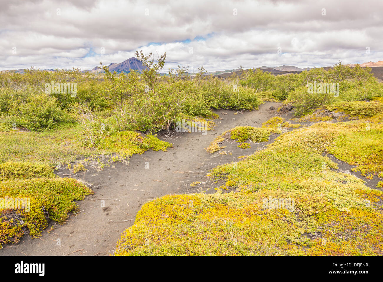 Green grass and trekking path in Myvatn area - Iceland. Stock Photo
