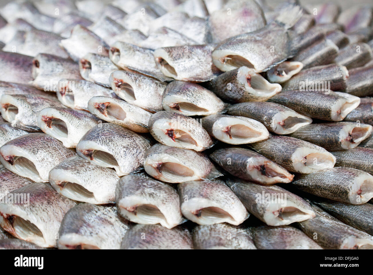 Stack of gutted river fish on sale, Bangkok, Thailand Stock Photo