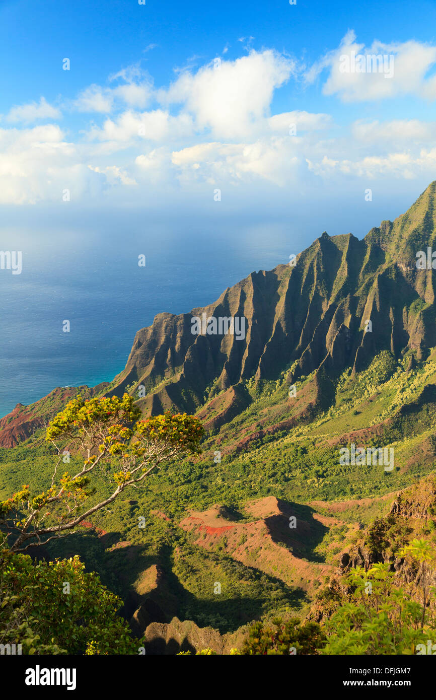 USA, Hawaii, Kauai, Na Pali Coast, Kalalau Valley Stock Photo