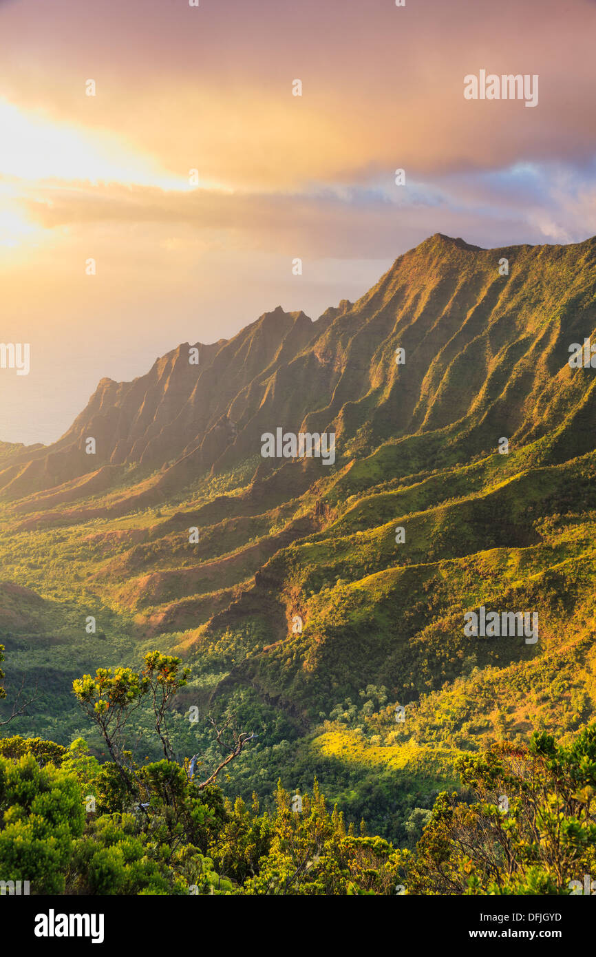 USA, Hawaii, Kauai, Na Pali Coast, Kalalau Valley Stock Photo