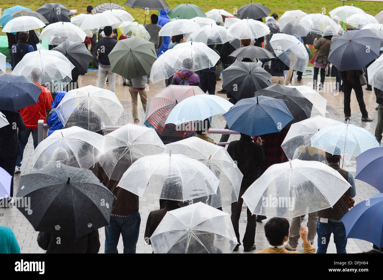 Lots of umbrellas on a rainy day Stock Photo Alamy