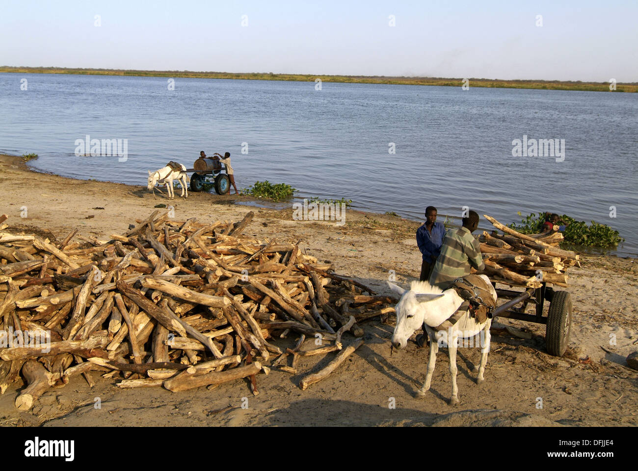Kaka river hi-res stock photography and images - Alamy