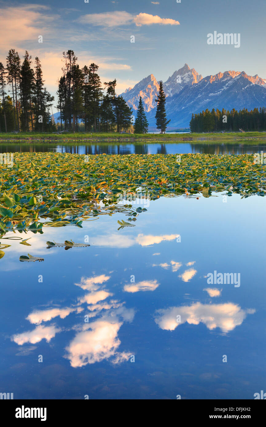 Clouds and mountains reflected in Heron Pond near Colter Bay in Grand Teton National Park, Wyoming Stock Photo