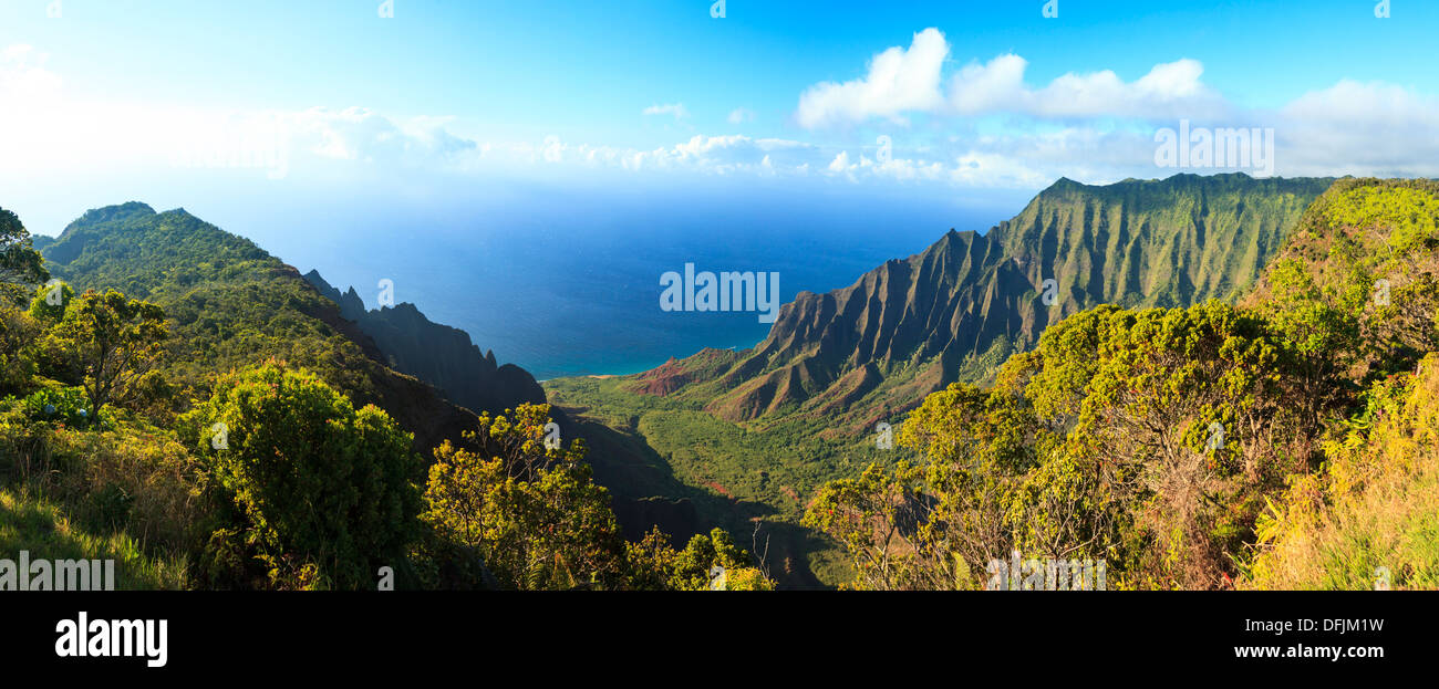 USA, Hawaii, Kauai, Na Pali Coast, Kalalau Valley Stock Photo