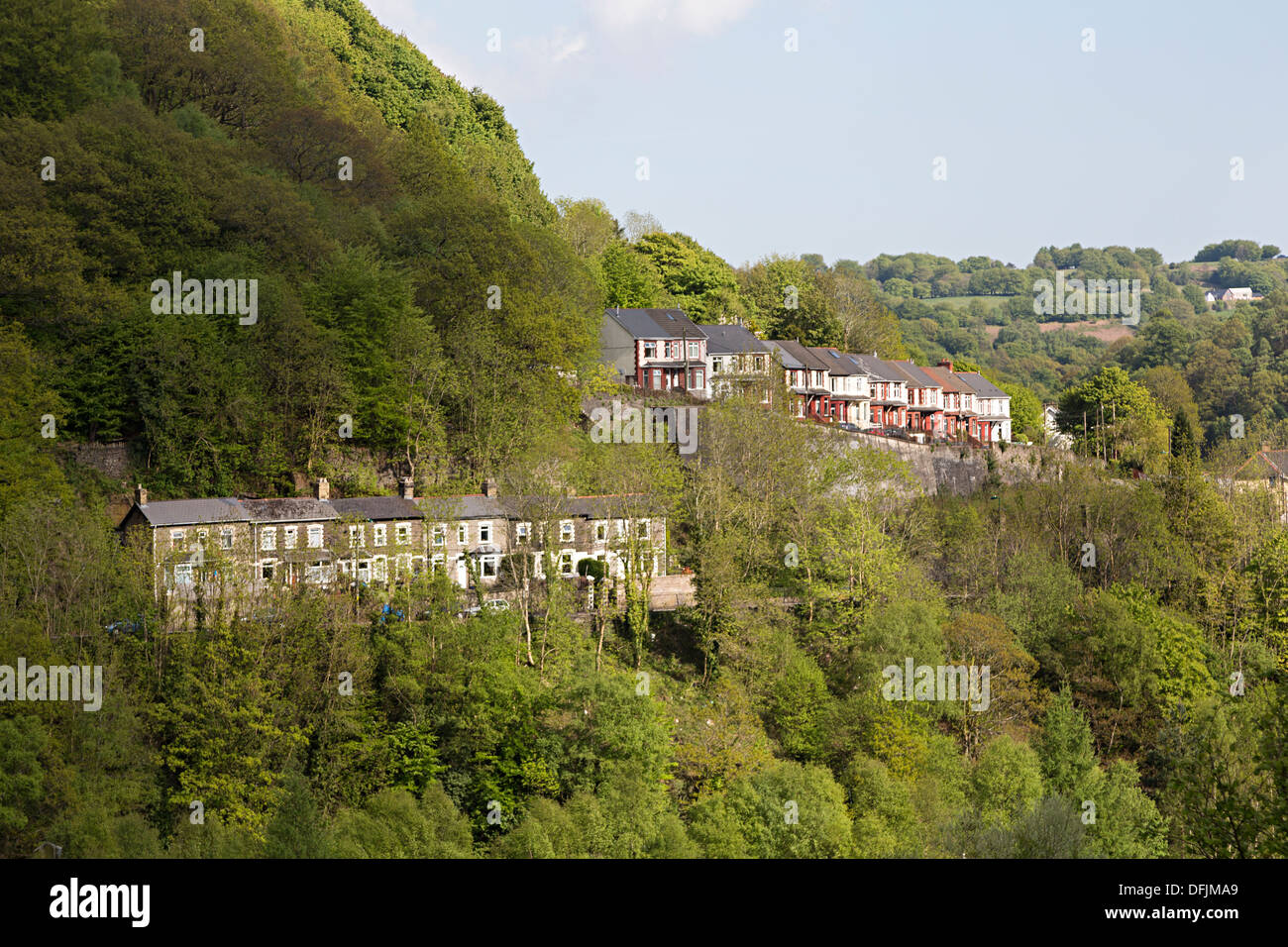Terraced houses in trees on steep hillside, Aberbeeg, Wales, UK Stock Photo