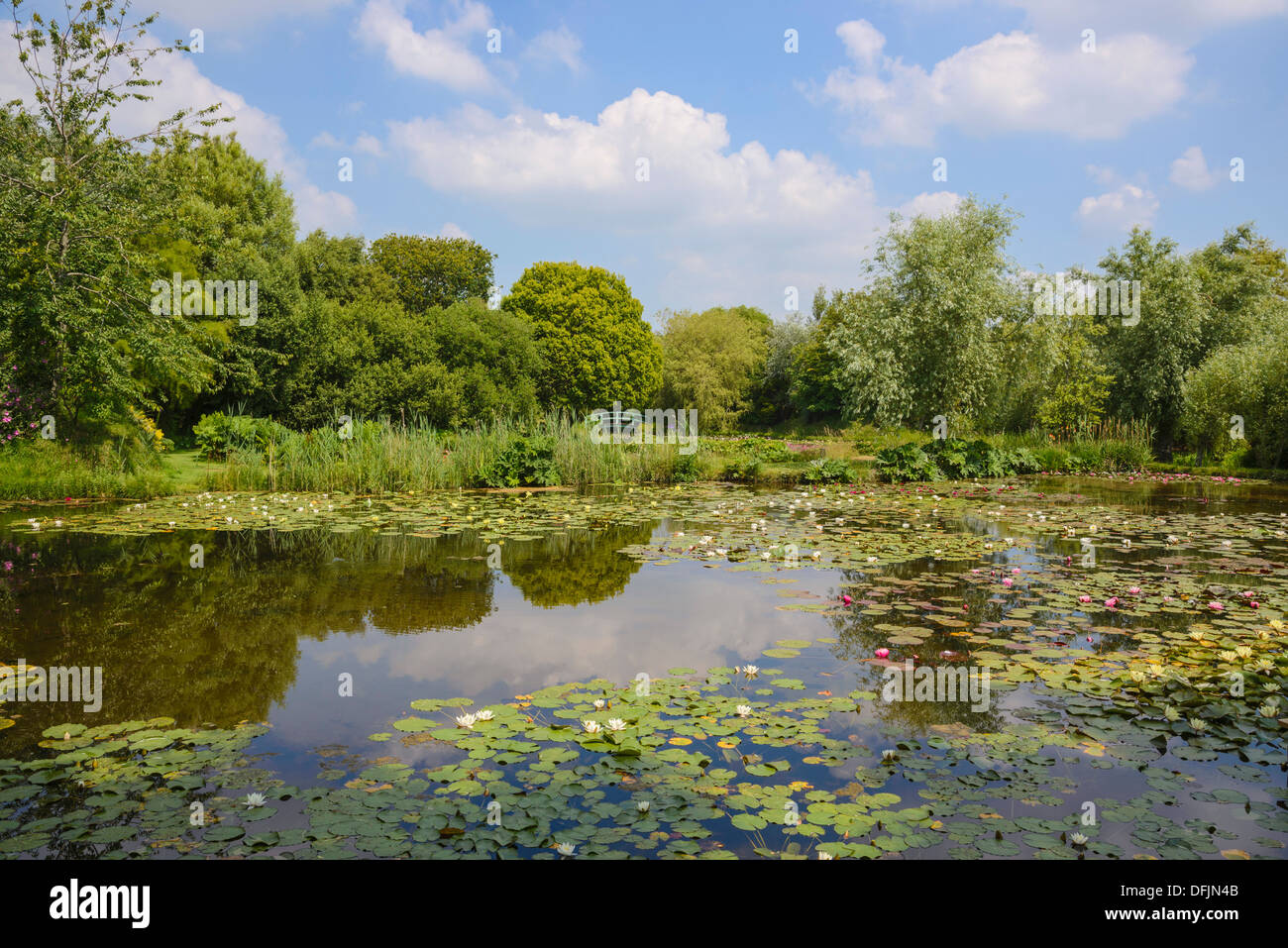 Water Gardens, Weymouth, Dorset, England Stock Photo Alamy