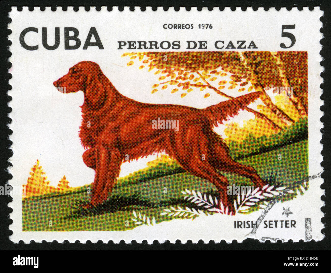 Cuba ,1976,post mark, stamp,dogs, fauna, irish setter Stock Photo