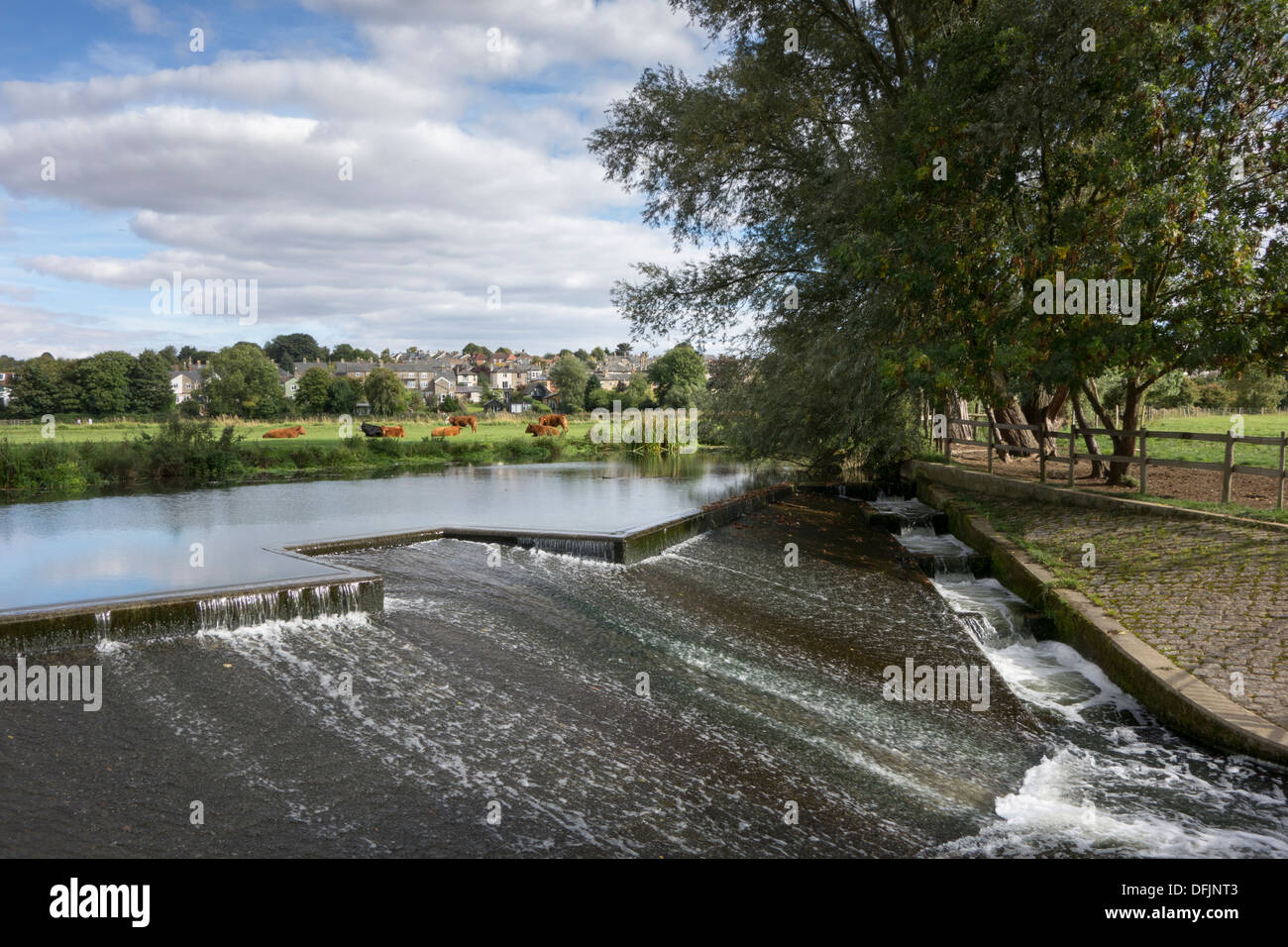 Silt-laden water rushing over a weir on the River Stour Blandford Dorset  England UK Stock Photo - Alamy