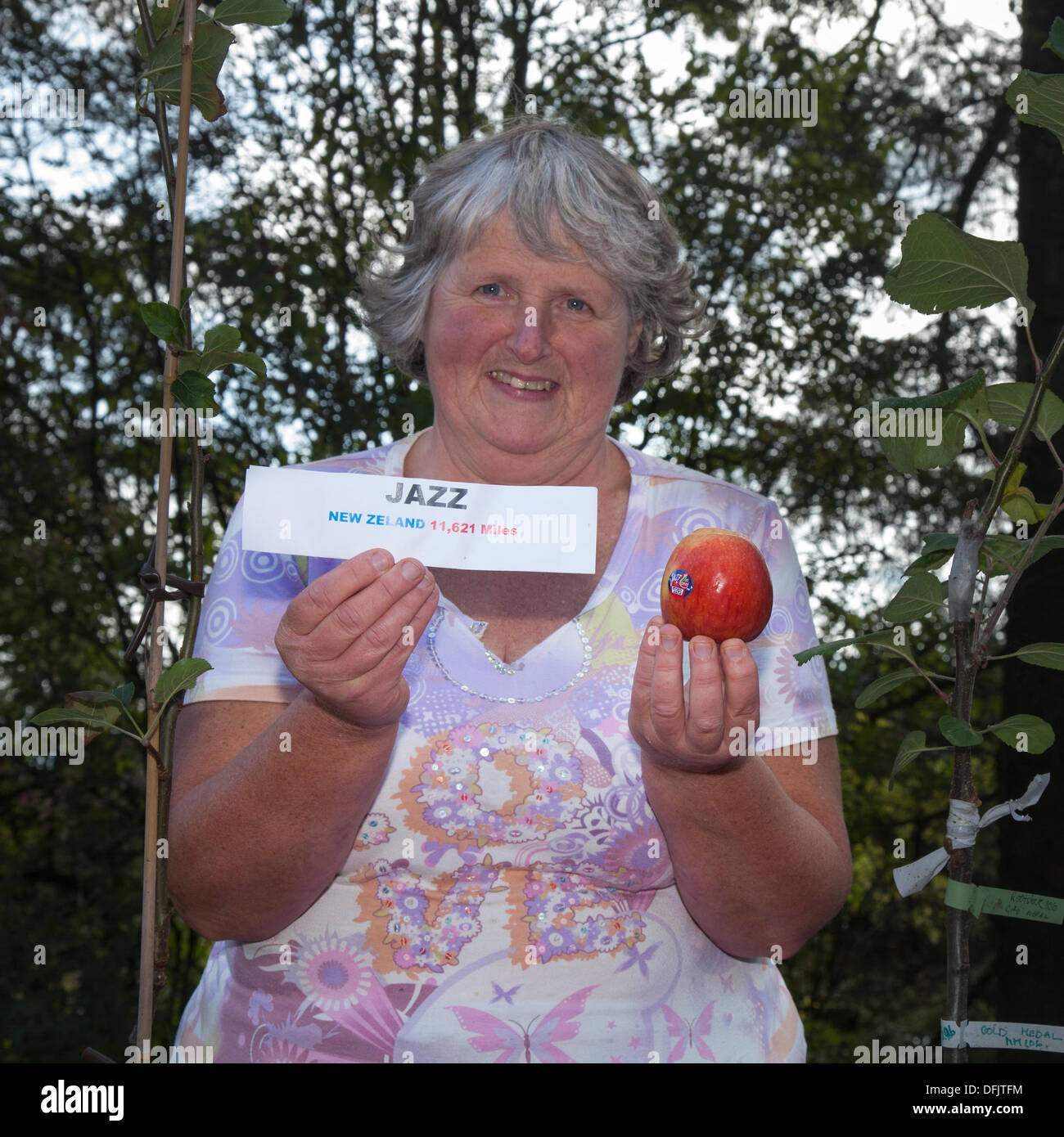 Bowland Fell, Preston,  UK  6th October, 2013. Mrs Jane Syms from Broughton Business Enterprise College, showing apple food miles at Bowland Visitor Centre Apple Day featuring apple tasting, identification, stalls, ludus dance performance, jams, chutneys, presented by the Friends of Bowland and Beacon Fell.  Credit:  Mar Photographics/Alamy Live News Stock Photo