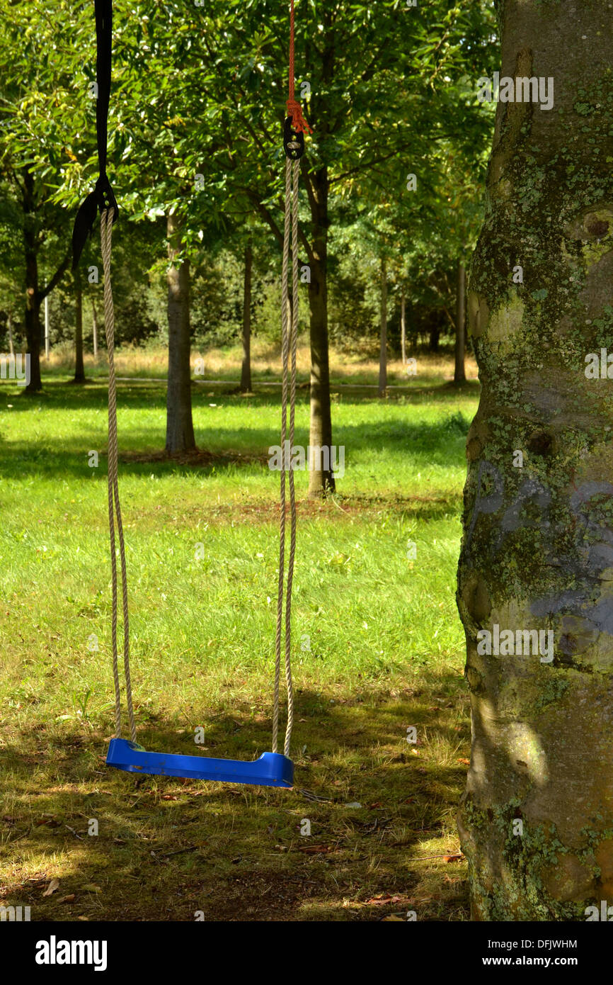 blue swing hanging from branch of tree in autumn Stock Photo