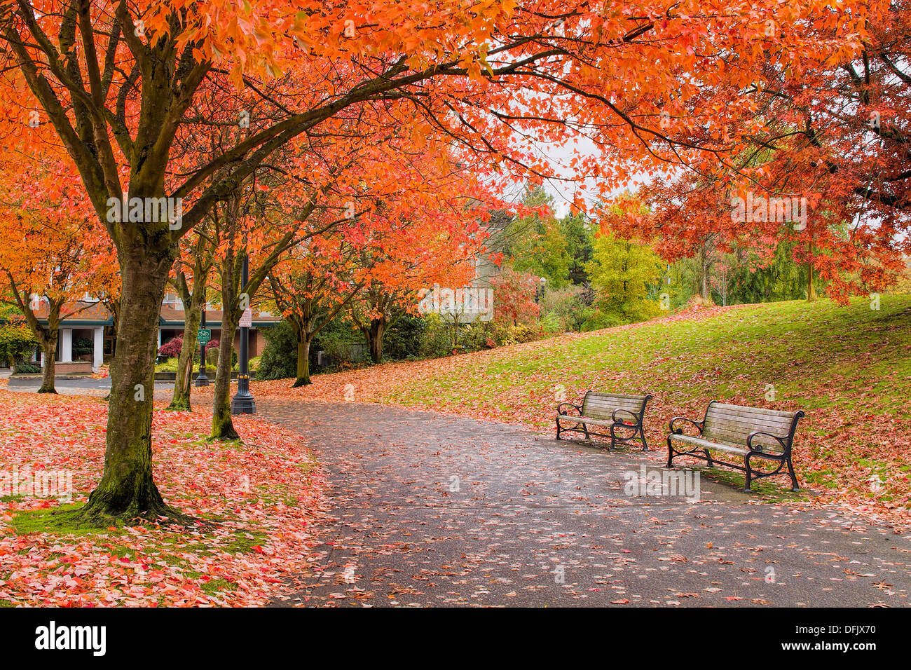 Walking and Biking Park Trails in Portland Oregon Downtown Waterfront in Fall Season Stock Photo