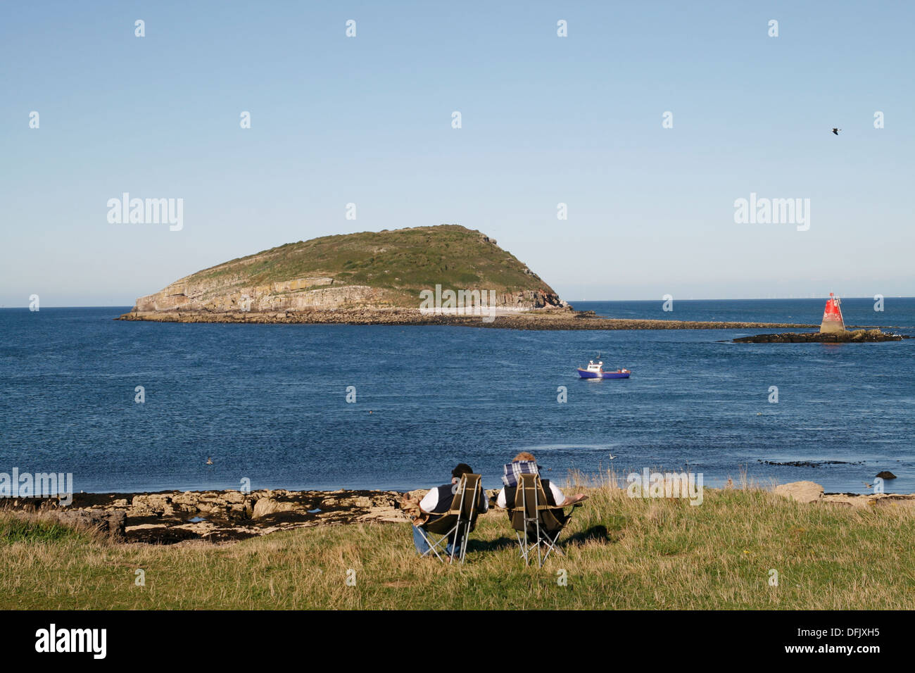 Cooped Up? Photos Of This Puffin Island Will Make You Feel Free