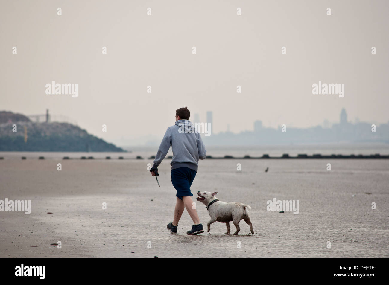 man boy walking white Staffordshire bull terrier type dog on Beach Stock Photo