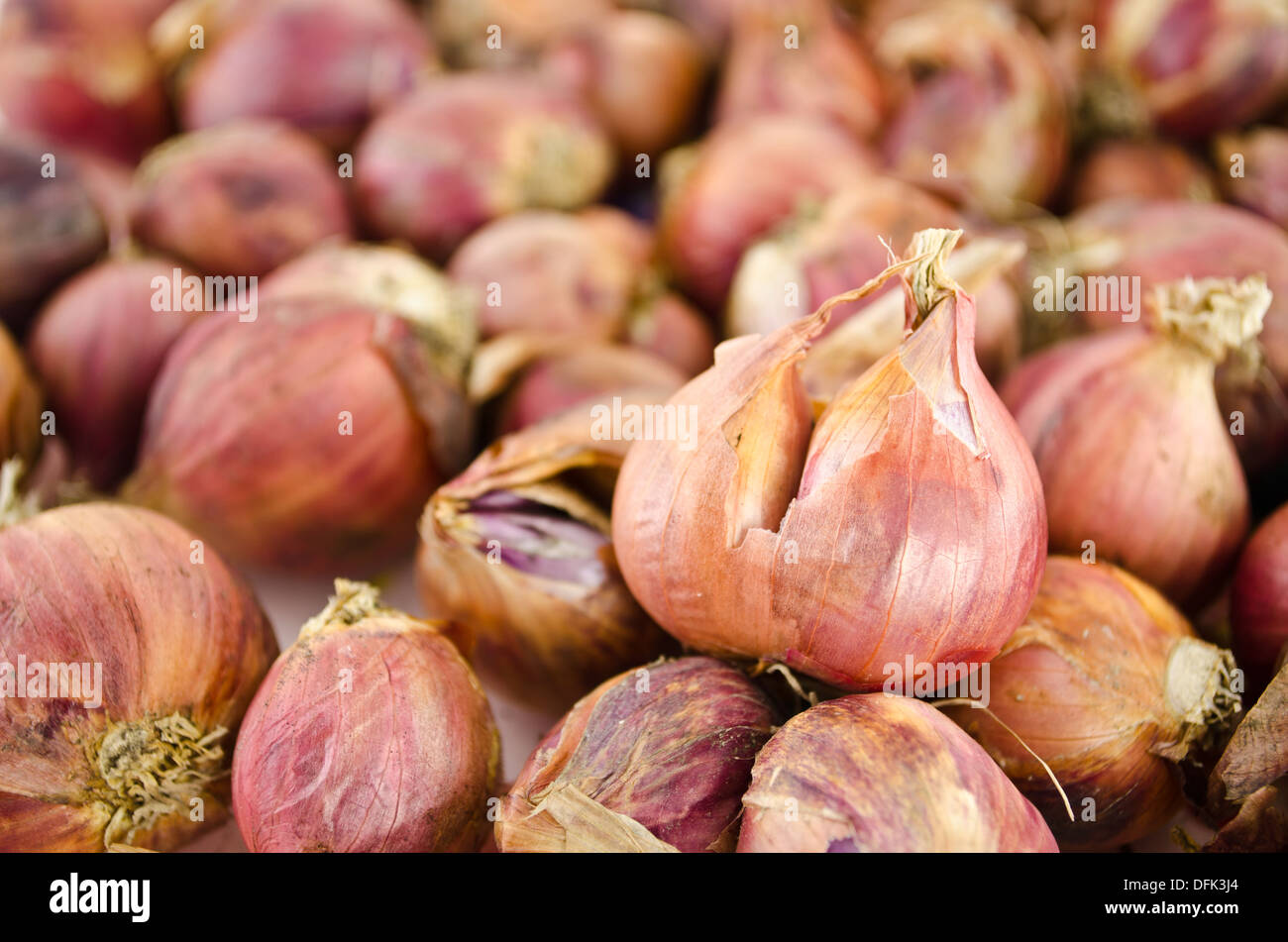 shallot is ingredient of alot of thai food and catchup Stock Photo