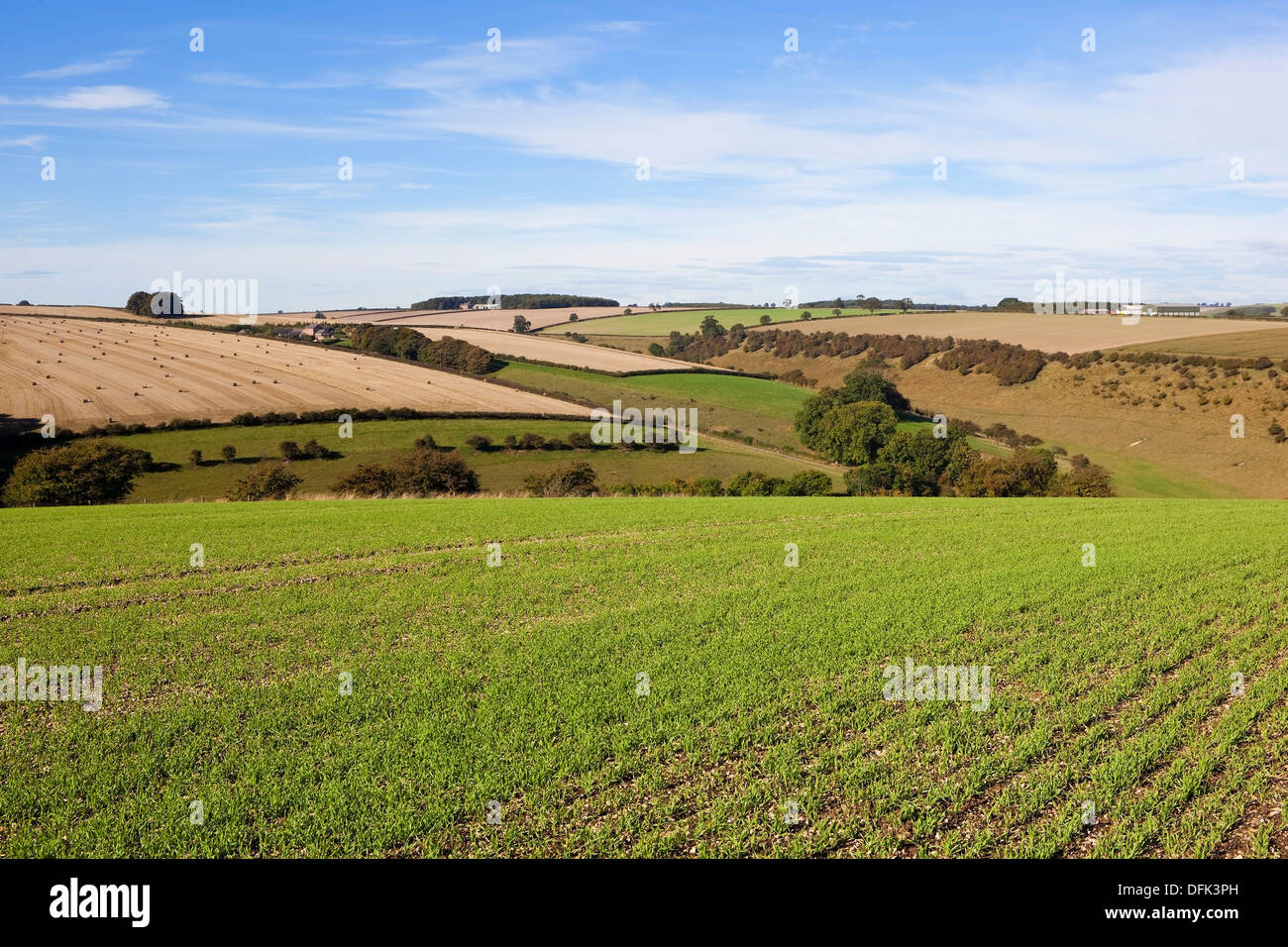 A picturesque view of the farming landscape of the Yorkshire wolds