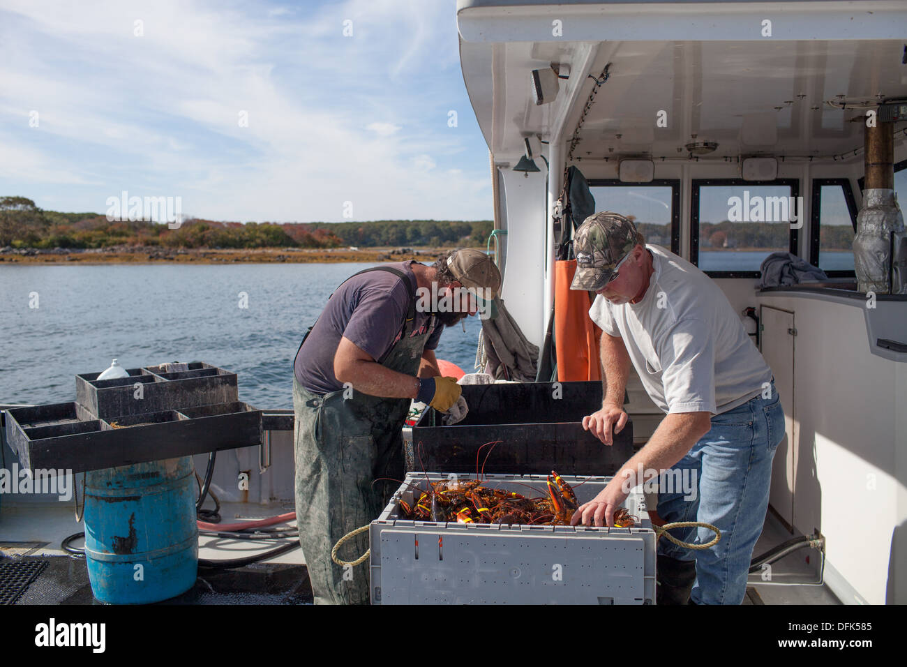 Eric and Peter Wildes on lobster boat get ready to sell their lobsters to the restaurant trade in Maine. ME Maine New England Stock Photo