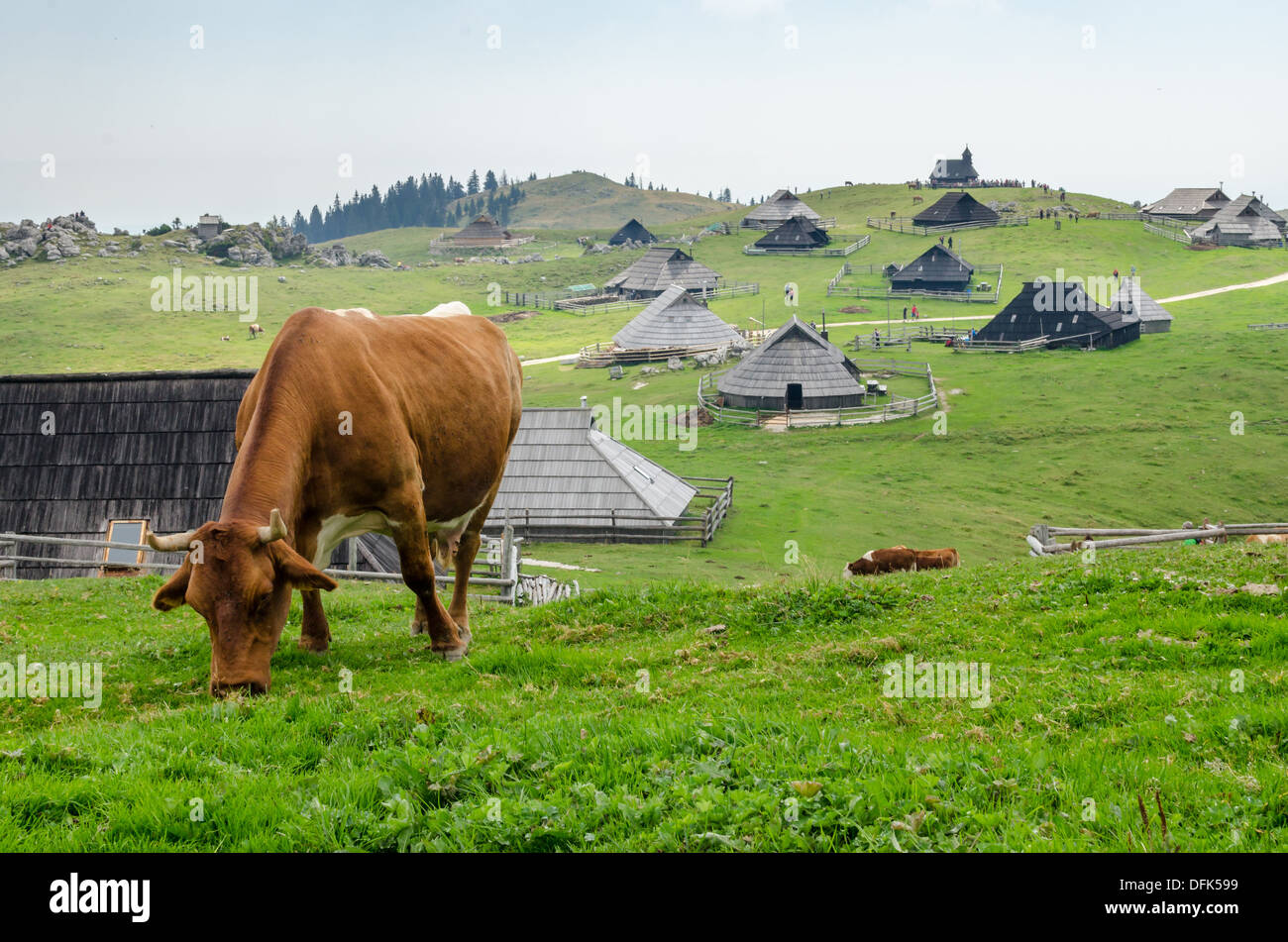 Velika Planina, Slovenia Stock Photo