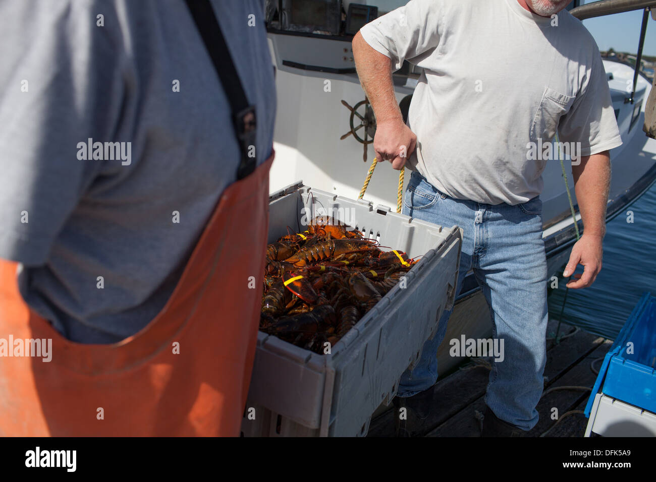 Lobsterman Peter Wildes sells his lobster to Eric Emmons for his restaurant client. Stock Photo
