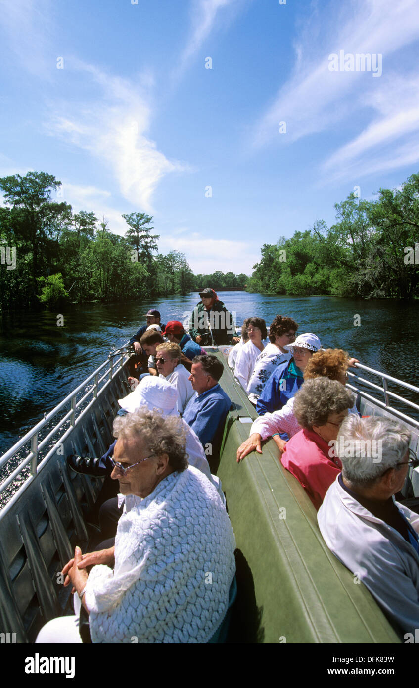 Guests cruise a Louisiana bayou with Alligator Annie Miller, near Houma, Louisiana, USA. Stock Photo