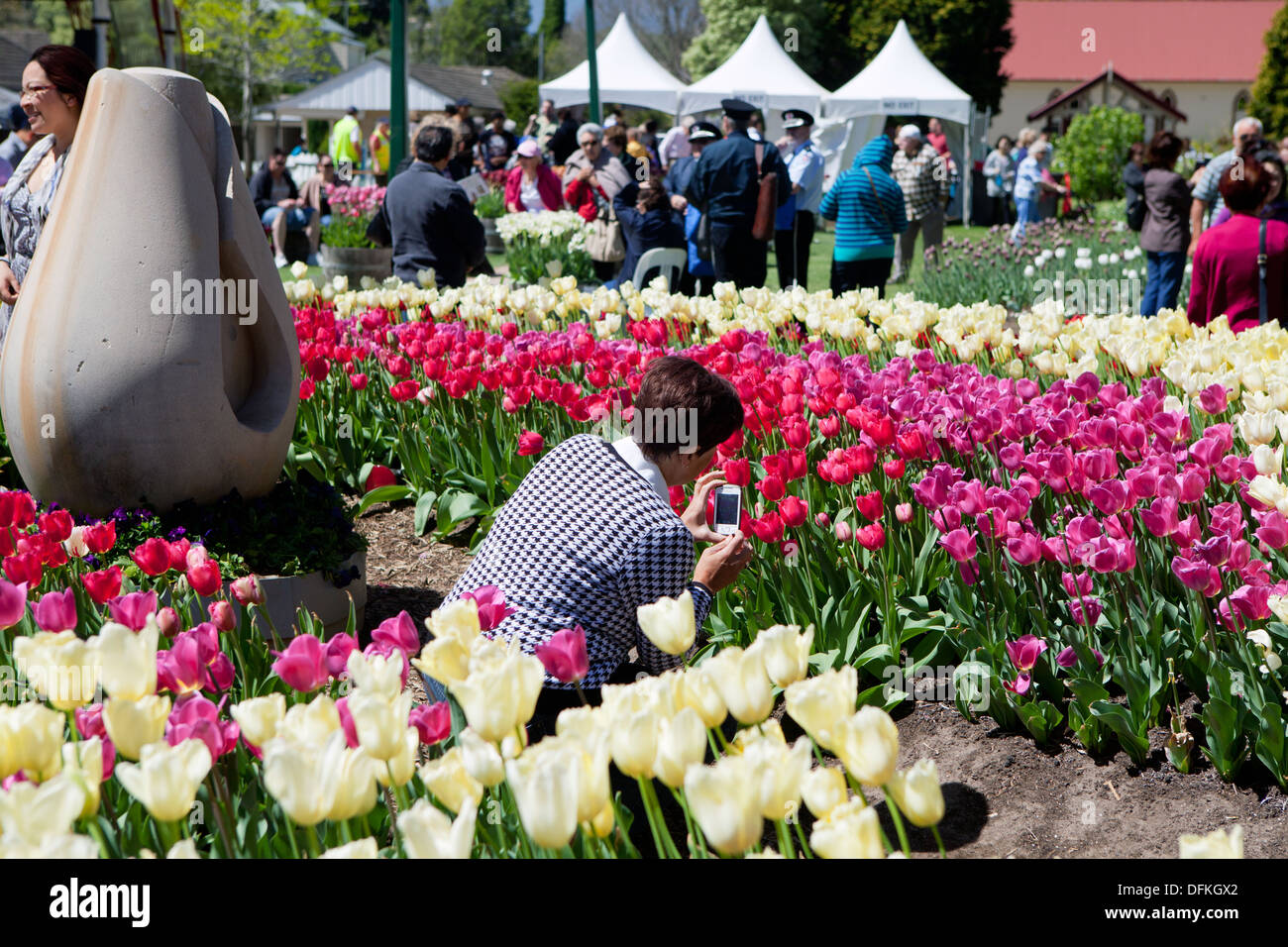 Tulip Festival, Bowral, NSW, Australia Stock Photo Alamy