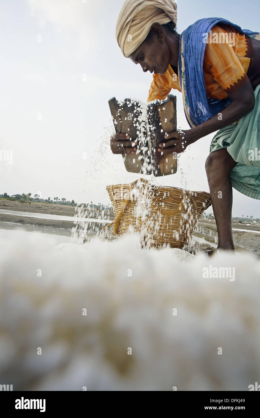Salt factory near Mahabalipuram (Mamallapuram). Tamil Nadu, India Stock