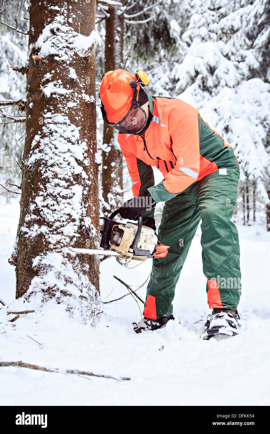 a woodcutter at work in the winter forest Stock Photo