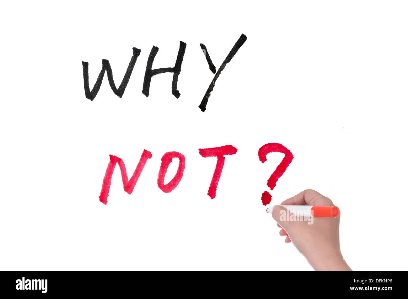 Why why not. Неоновые надписи. Why not bi. Логотип why not. Why not.