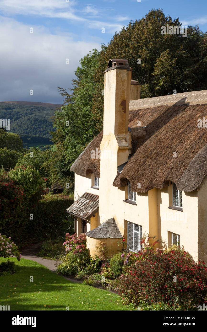 Selworthy S Thatched Cottages Exmoor National Park Somerset