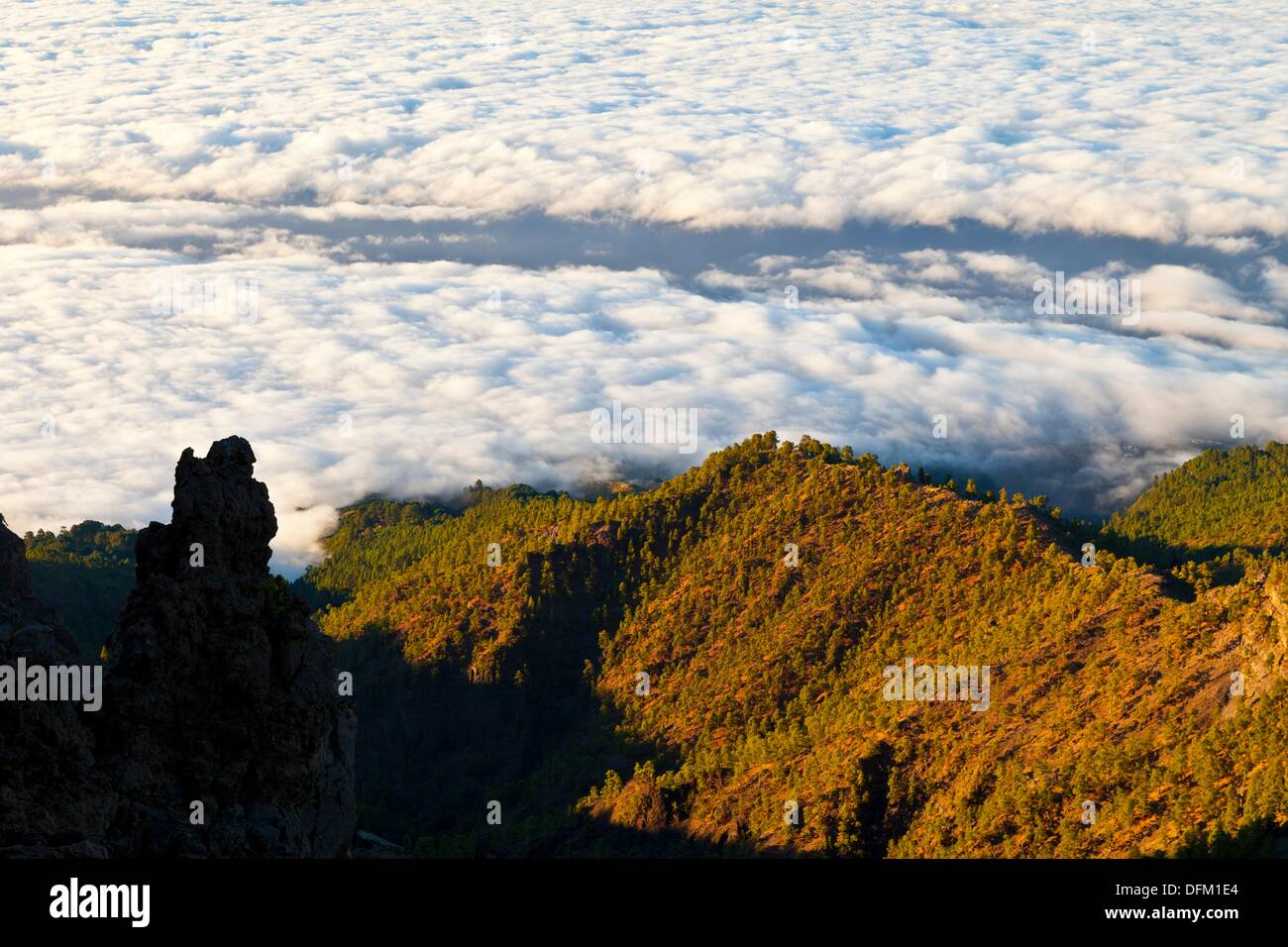 Mar de nubes desde el Paso de los Andenes  Parque Nacional de la Caldera de Taburiente  Isla La Palma  Provincia Santa Cruz Stock Photo