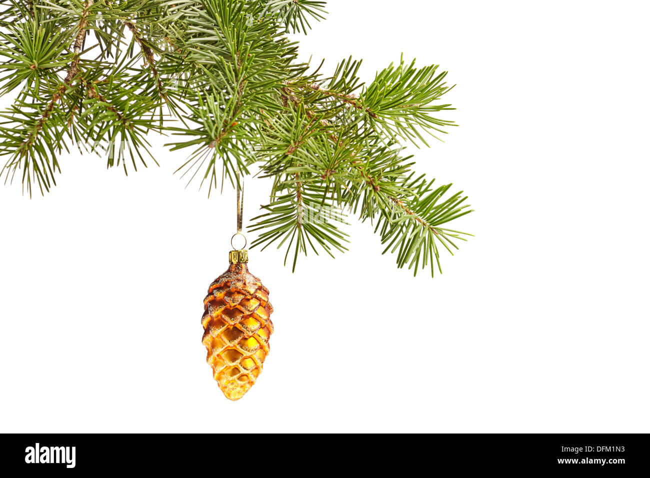 Christmas yellow cone on fir tree isolated Stock Photo
